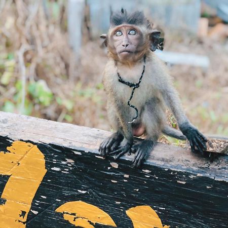 Monkey Bungalow Ko Lanta エクステリア 写真