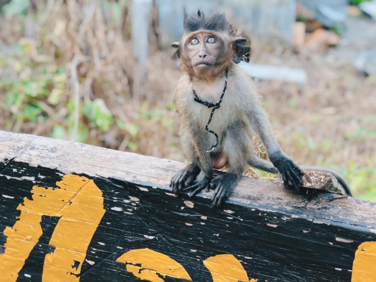 Monkey Bungalow Ko Lanta エクステリア 写真