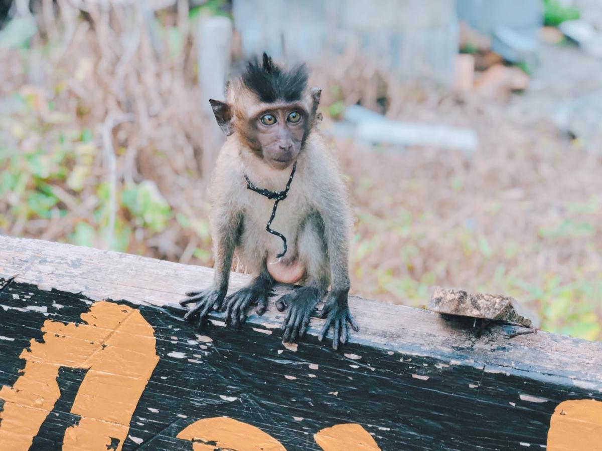 Monkey Bungalow Ko Lanta エクステリア 写真
